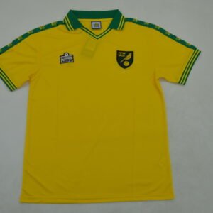 Norwich City 76/81 Home